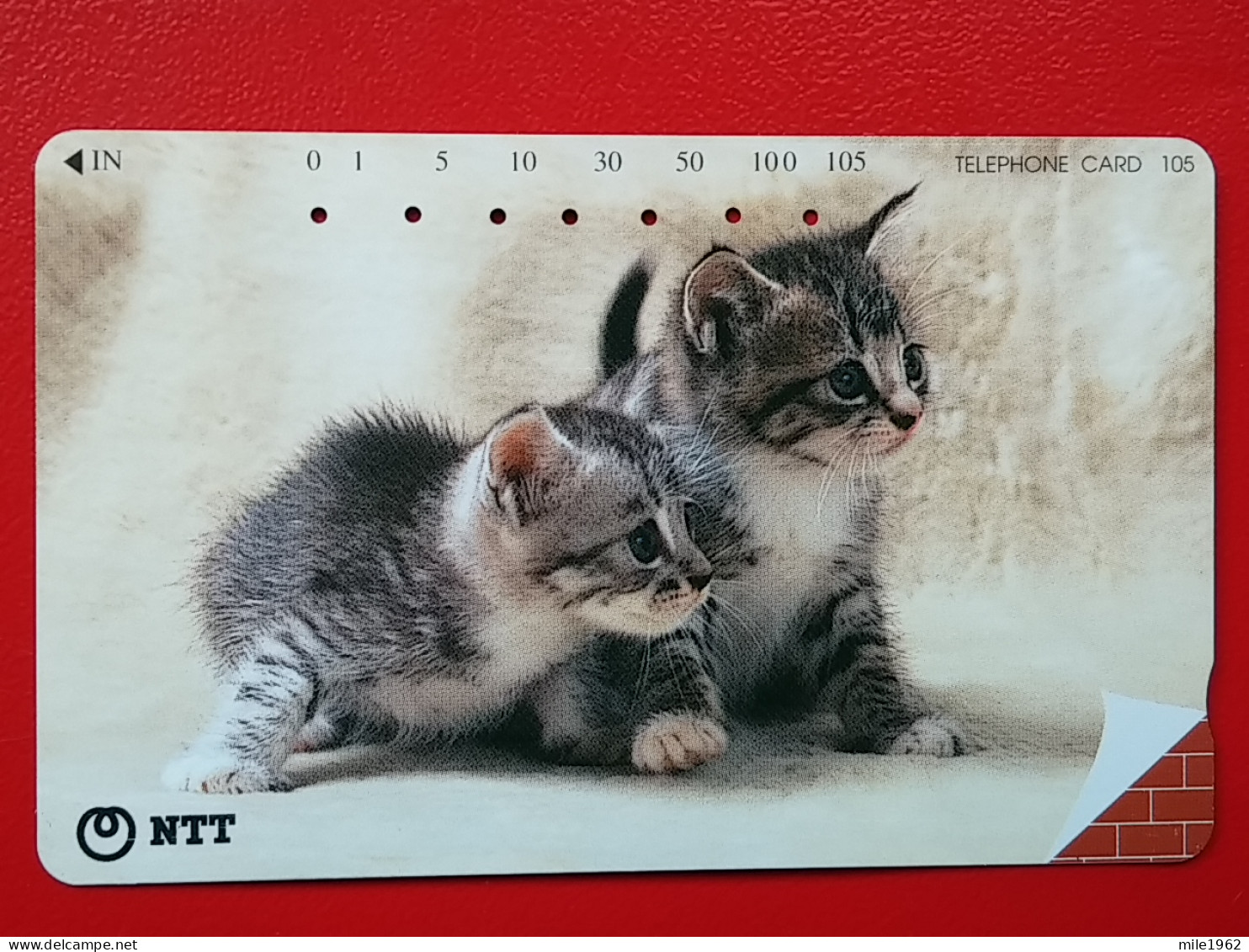 T-160 - JAPAN -JAPON, NIPON, TELECARD, PHONECARD, Animal, Cat, Chat, Katze NTT JP 231-223 - Japan