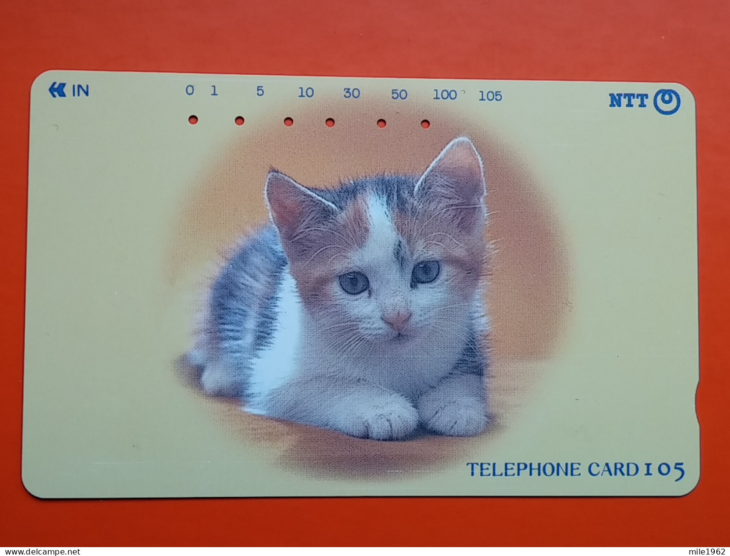 T-160 - JAPAN -JAPON, NIPON, TELECARD, PHONECARD, Animal, Cat, Chat, Katze NTT JP 231-226 - Japan