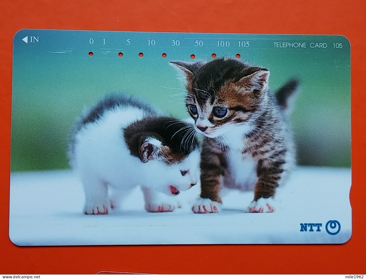 T-160 - JAPAN -JAPON, NIPON, TELECARD, PHONECARD, Animal, Cat, Chat, Katze NTT JP 231-322 - Japan