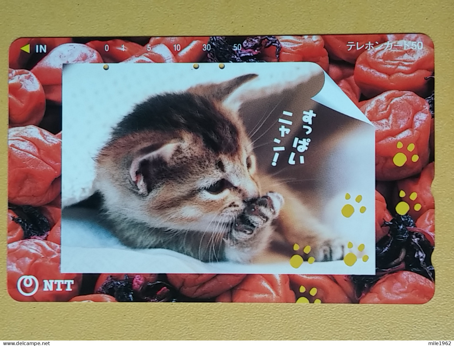 T-160 - JAPAN -JAPON, NIPON, TELECARD, PHONECARD, Animal, Cat, Chat, Katze NTT JP 331-494 - Japan