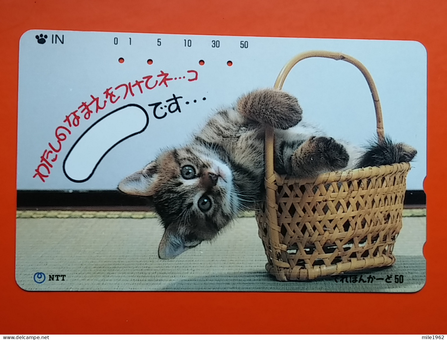 T-160 - JAPAN -JAPON, NIPON, TELECARD, PHONECARD, Animal, Cat, Chat, Katze NTT JP 250-415 - Japan