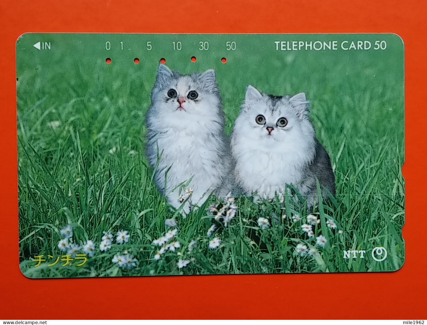 T-160 - JAPAN -JAPON, NIPON, TELECARD, PHONECARD, Animal, Cat, Chat, Katze NTT JP 270-205 - Japan