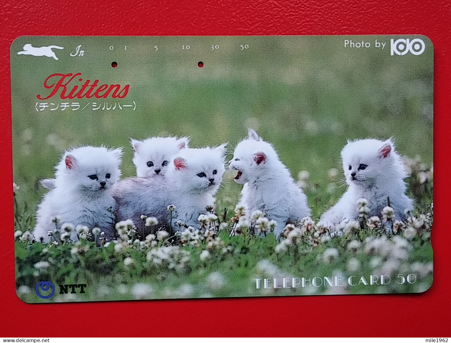 T-160 - JAPAN -JAPON, NIPON, TELECARD, PHONECARD, Animal, Cat, Chat, Katze NTT JP 250-206 - Japan