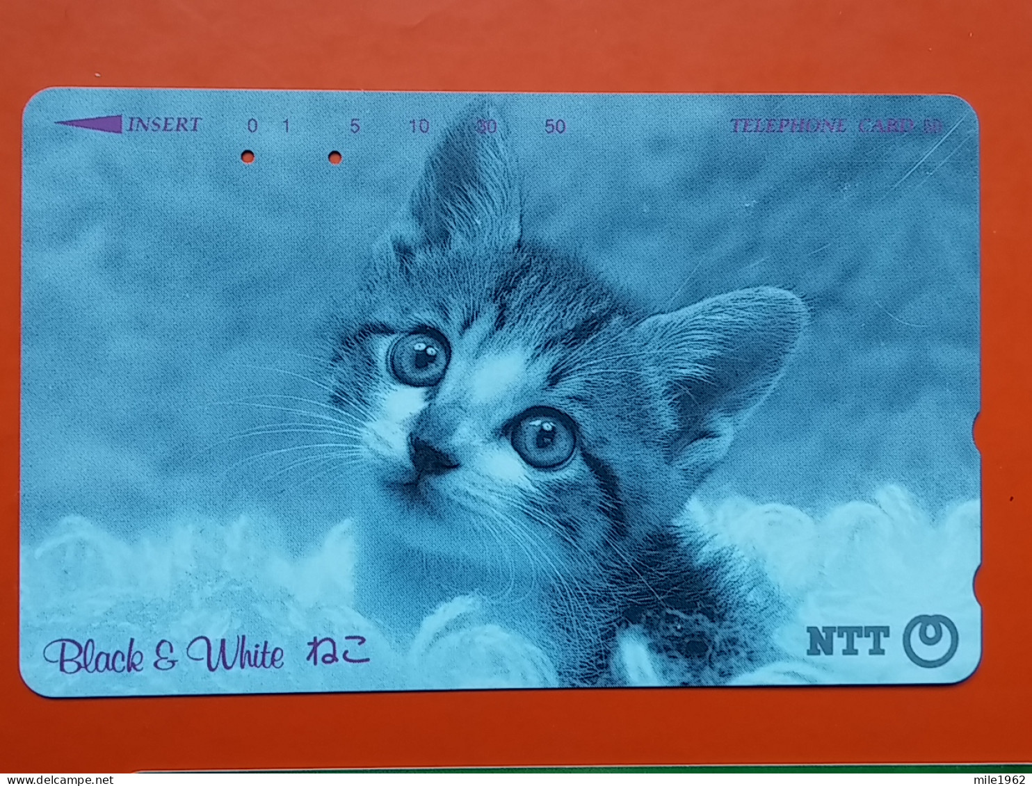 T-161 - JAPAN -JAPON, NIPON, TELECARD, PHONECARD, Animal, Cat, Chat, Katze NTT JP 291-214 - Japon
