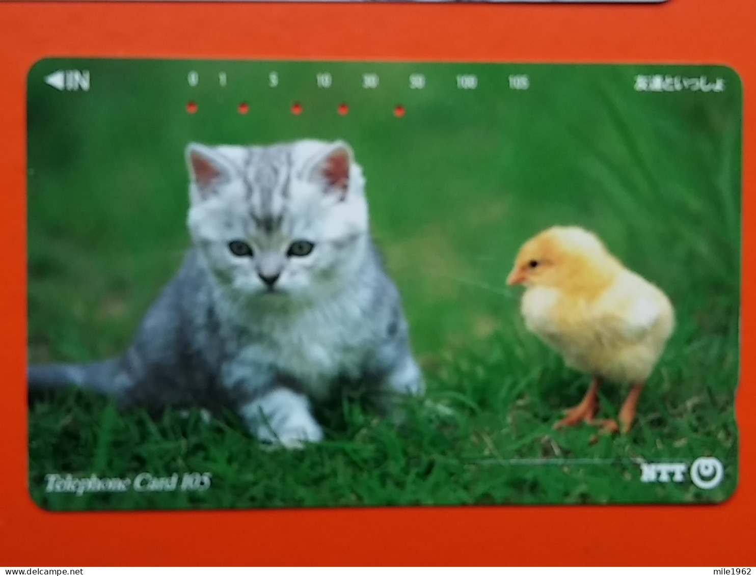 T-161 - JAPAN -JAPON, NIPON, TELECARD, PHONECARD, Animal, Cat, Chat, Katze NTT JP 111-062 - Japan