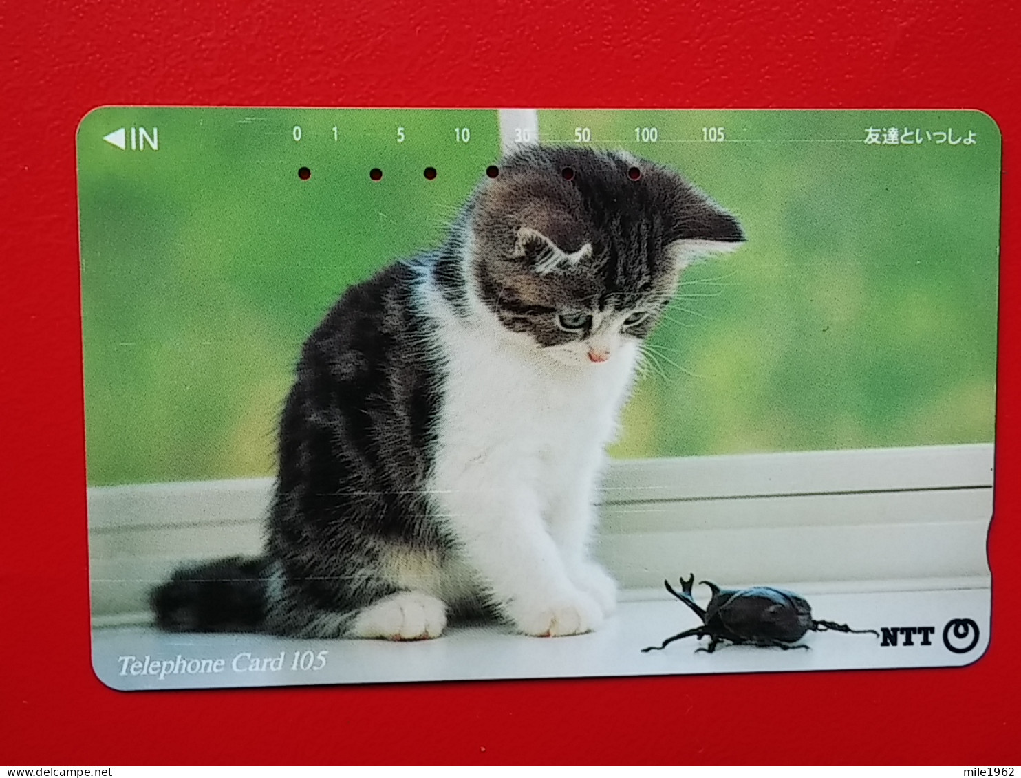 T-161 - JAPAN -JAPON, NIPON, TELECARD, PHONECARD, Animal, Cat, Chat, Katze NTT JP 111-066 - Japan