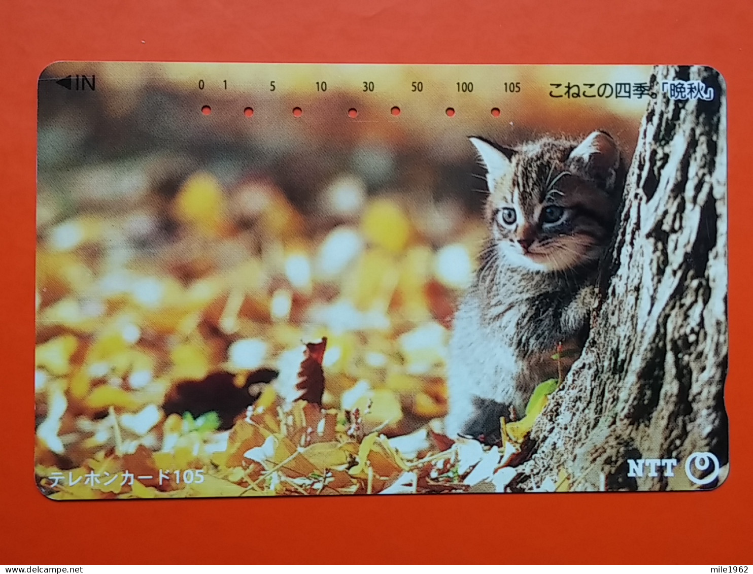 T-161 - JAPAN -JAPON, NIPON, TELECARD, PHONECARD, Animal, Cat, Chat, Katze NTT JP 111-029 - Japan