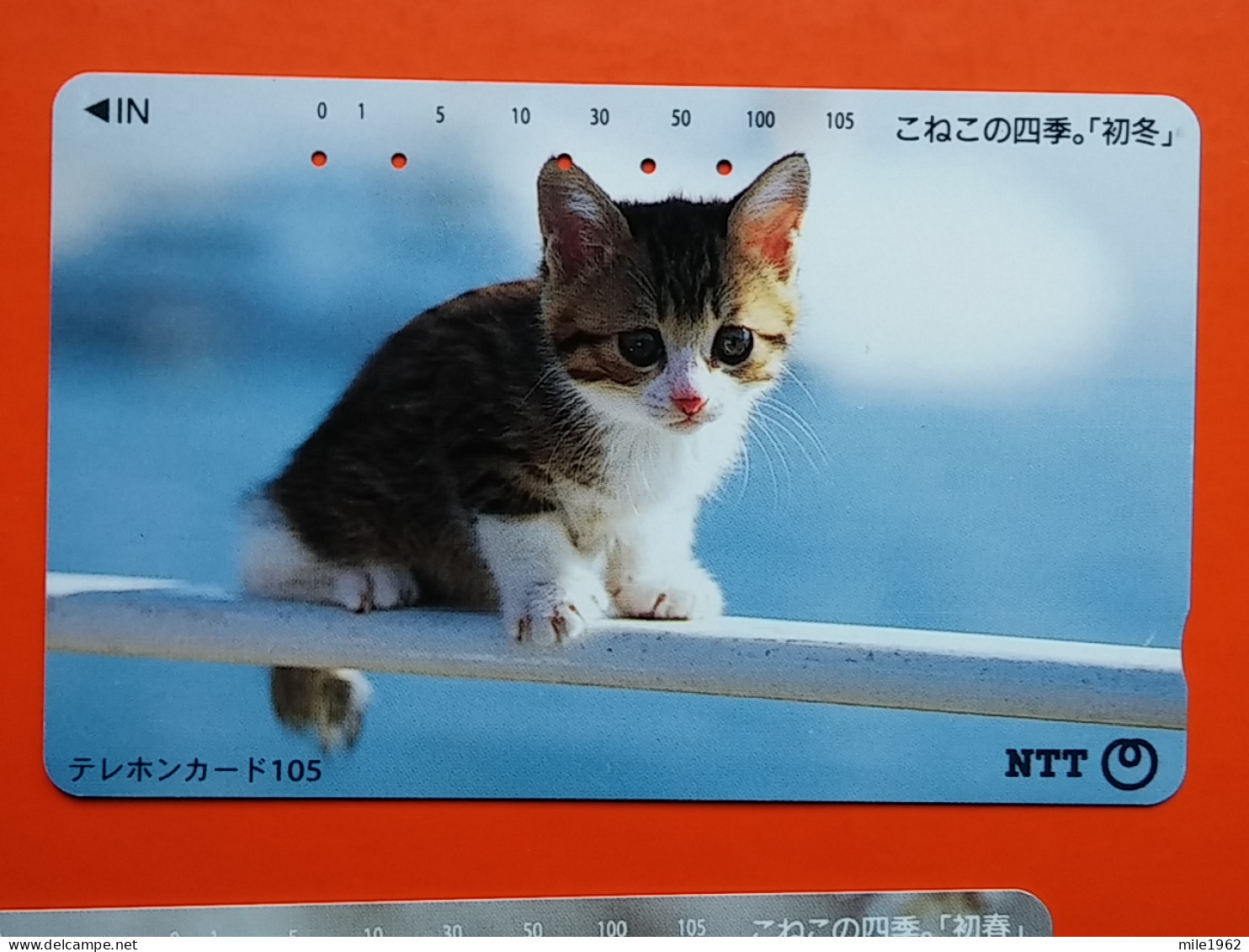 T-161 - JAPAN -JAPON, NIPON, TELECARD, PHONECARD, Animal, Cat, Chat, Katze NTT JP 111-037 - Japon