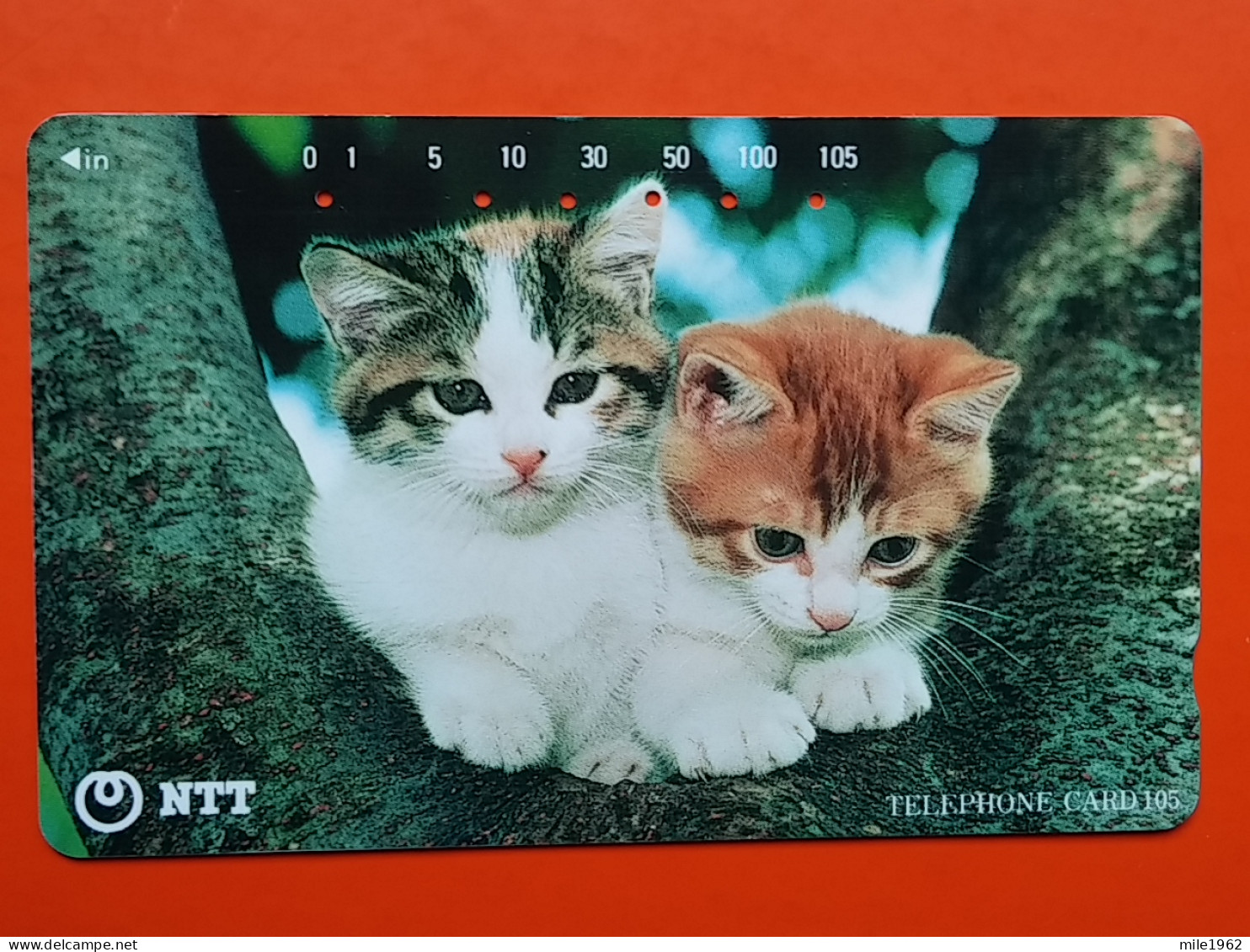 T-161 - JAPAN -JAPON, NIPON, TELECARD, PHONECARD, Animal, Cat, Chat, Katze NTT JP 111-070 - Japon