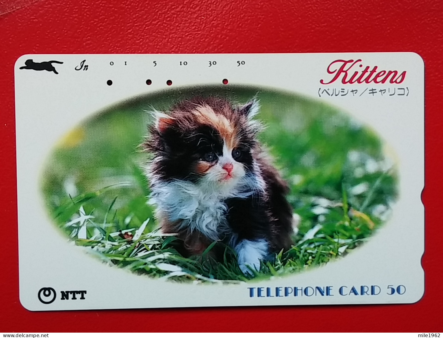 T-161 - JAPAN -JAPON, NIPON, TELECARD, PHONECARD, Animal, Cat, Chat, Katze NTT JP 250-357 - Japan