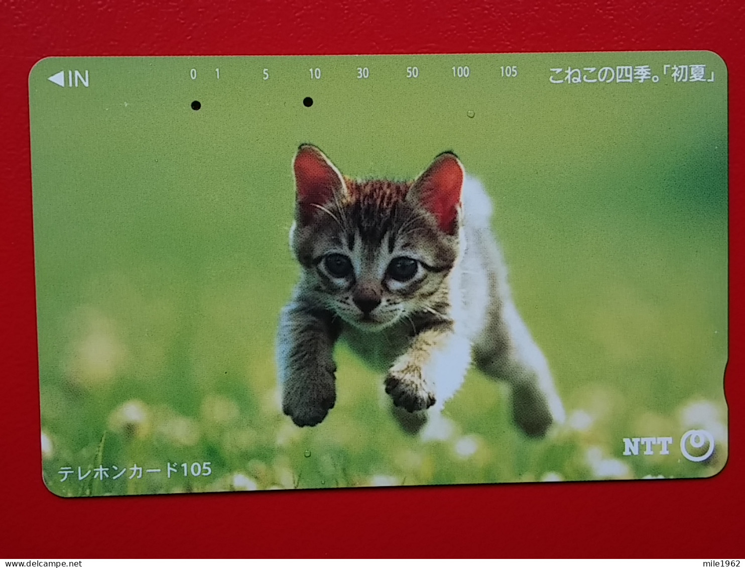 T-161 - JAPAN -JAPON, NIPON, TELECARD, PHONECARD, Animal, Cat, Chat, Katze NTT JP 111-021 - Japan