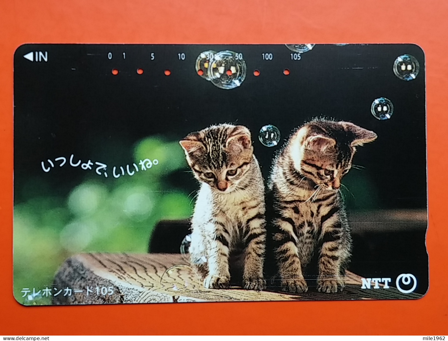 T-161 - JAPAN -JAPON, NIPON, TELECARD, PHONECARD, Animal, Cat, Chat, Katze NTT JP 111-036 - Japan