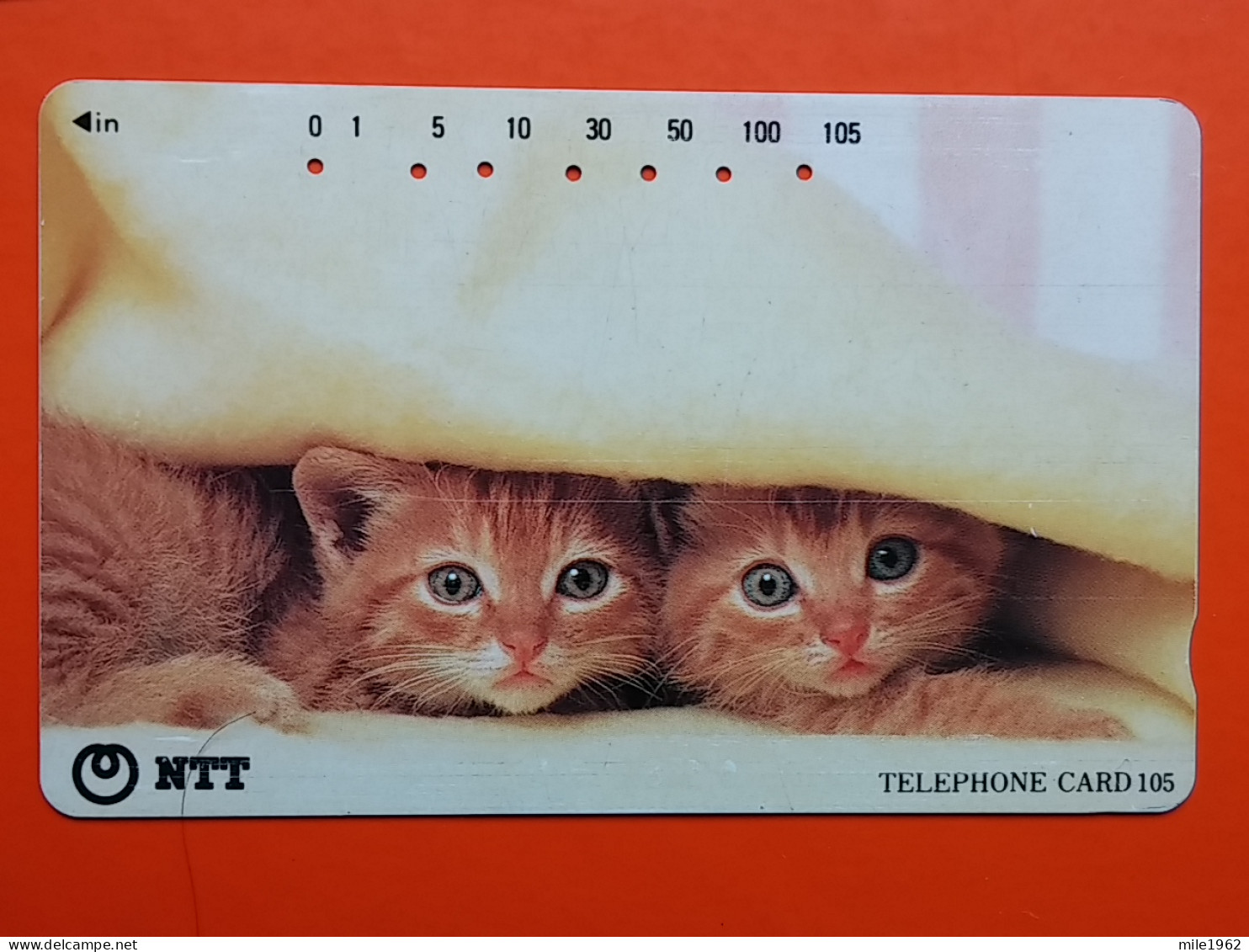 T-161 - JAPAN -JAPON, NIPON, TELECARD, PHONECARD, Animal, Cat, Chat, Katze NTT JP 111-076 - Japan