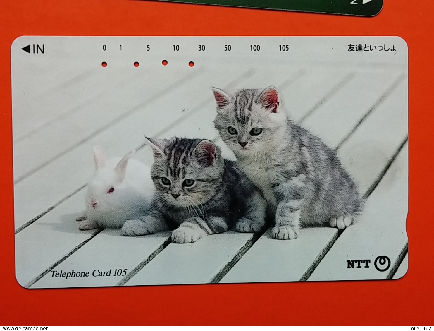 T-161 - JAPAN -JAPON, NIPON, TELECARD, PHONECARD, Animal, Cat, Chat, Katze NTT JP 111-088 - Japan