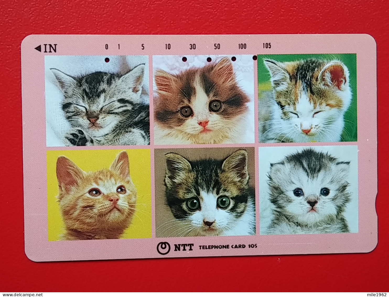 T-161 - JAPAN -JAPON, NIPON, TELECARD, PHONECARD, Animal, Cat, Chat, Katze NTT JP 331-089 - Japon