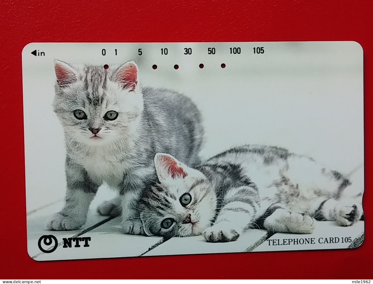 T-161 - JAPAN -JAPON, NIPON, TELECARD, PHONECARD, Animal, Cat, Chat, Katze NTT JP 111-078 - Japan