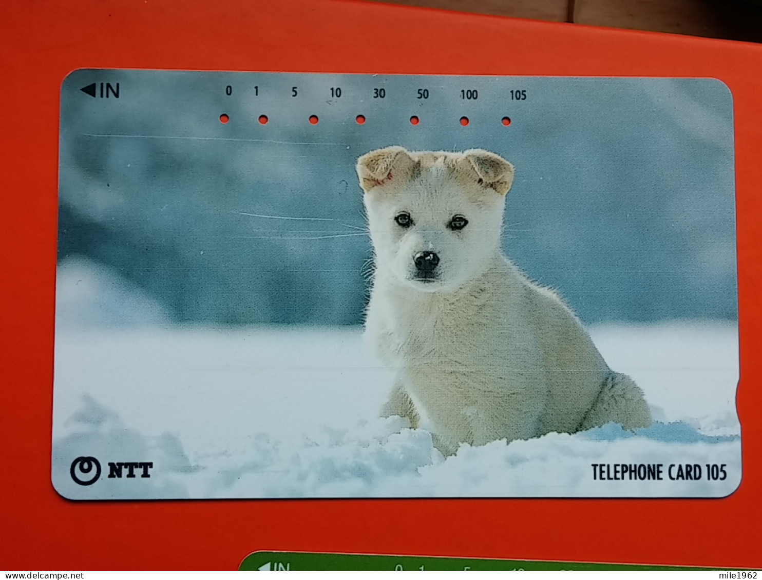 T-162 - JAPAN -JAPON, NIPON, TELECARD, PHONECARD, Animal, Dog, Chien, Hund NTT JP 111-081 - Japan