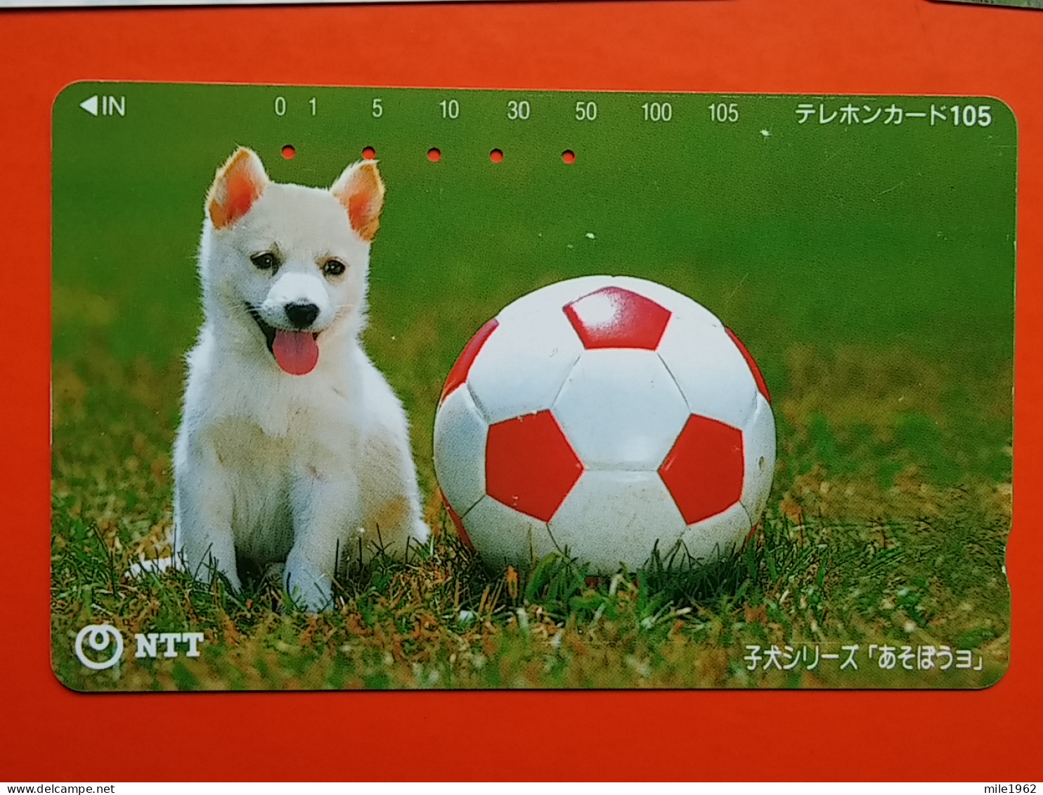 T-162 - JAPAN -JAPON, NIPON, TELECARD, PHONECARD, Animal, Dog, Chien, Hund NTT JP 111-032 - Japon