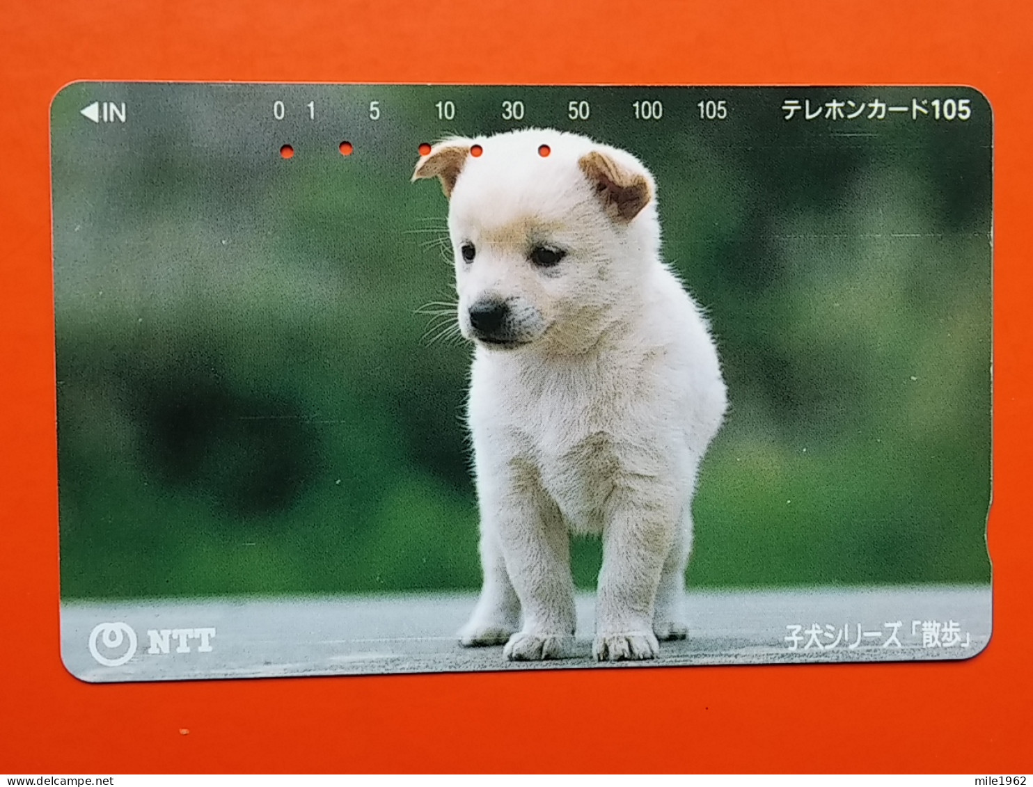 T-162 - JAPAN -JAPON, NIPON, TELECARD, PHONECARD, Animal, Dog, Chien, Hund NTT JP 111-024 - Japan