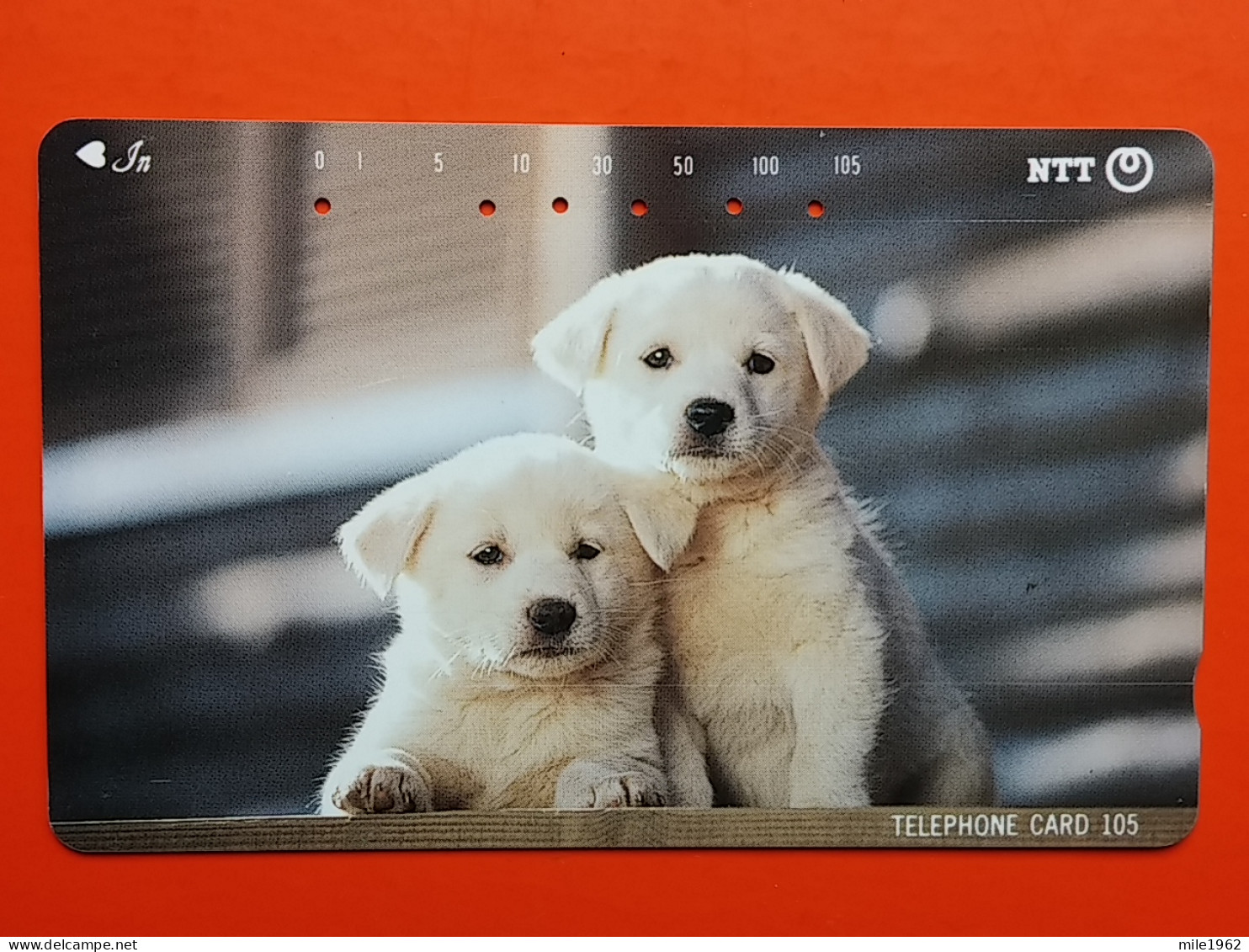 T-162 - JAPAN -JAPON, NIPON, TELECARD, PHONECARD, Animal, Dog, Chien, Hund NTT JP 111-033 - Japan