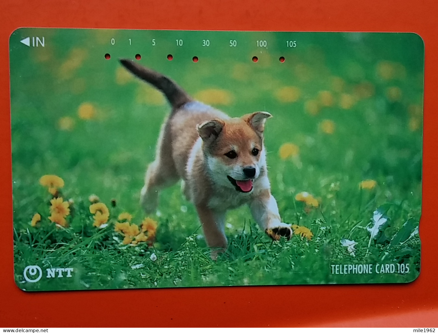 T-162 - JAPAN -JAPON, NIPON, TELECARD, PHONECARD, Animal, Dog, Chien, Hund NTT JP 111-092 - Japan