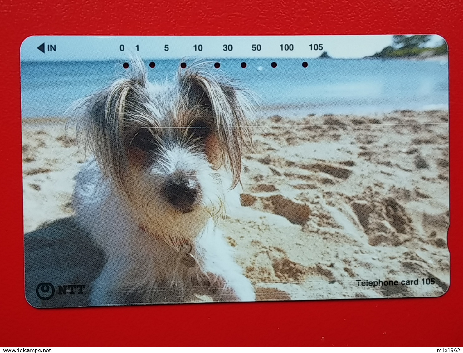 T-162 - JAPAN -JAPON, NIPON, TELECARD, PHONECARD, Animal, Dog, Chien, Hund NTT JP 231-405 - Japon