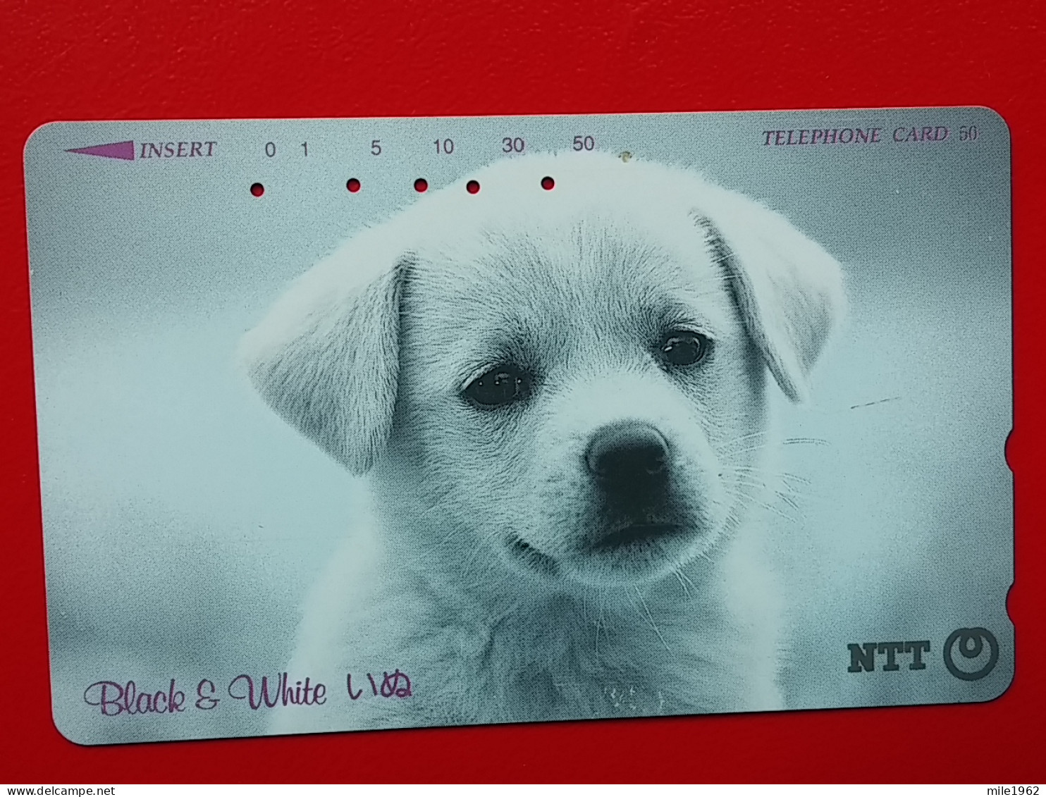 T-162 - JAPAN -JAPON, NIPON, TELECARD, PHONECARD, Animal, Dog, Chien, Hund NTT JP 291-213 - Japon