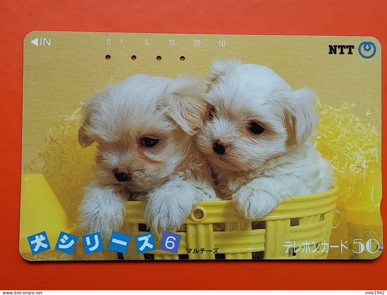 T-162 - JAPAN -JAPON, NIPON, TELECARD, PHONECARD, Animal, Dog, Chien, Hund NTT JP 290-161 - Japon