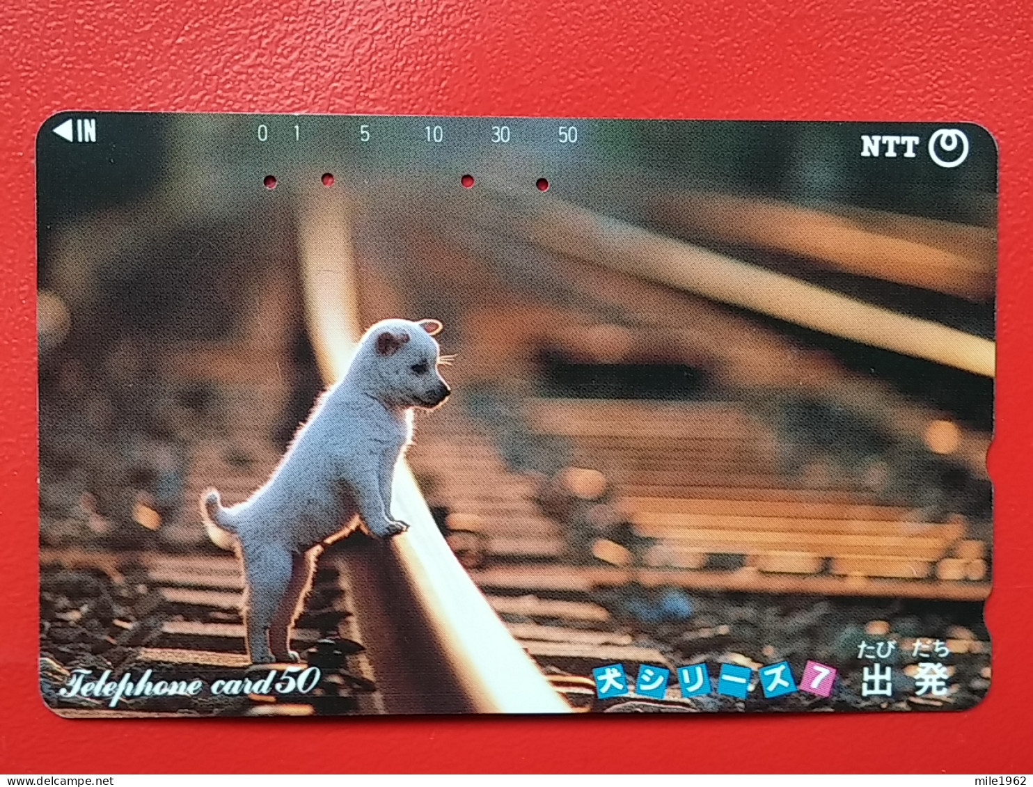 T-162 - JAPAN -JAPON, NIPON, TELECARD, PHONECARD, Animal, Dog, Chien, Hund NTT JP 290-346 - Japon