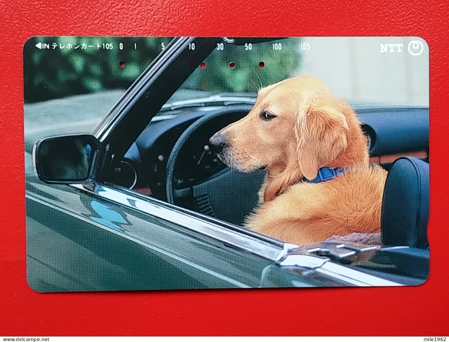 T-163 - JAPAN -JAPON, NIPON, TELECARD, PHONECARD, Animal, Dog, Chien, Hund NTT JP 331-447 - Japon