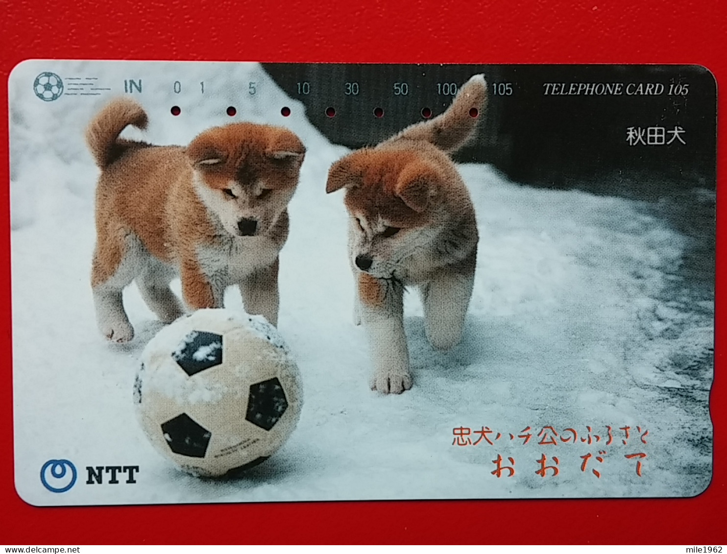 T-163 - JAPAN -JAPON, NIPON, TELECARD, PHONECARD, Animal, Dog, Chien, Hund NTT JP 411-242 - Japon