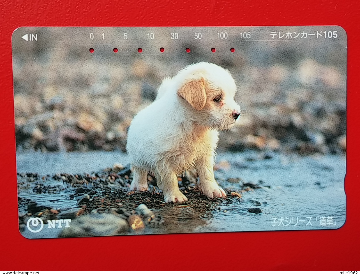 T-163 - JAPAN -JAPON, NIPON, TELECARD, PHONECARD, Animal, Dog, Chien, Hund NTT JP 111-040 - Japon