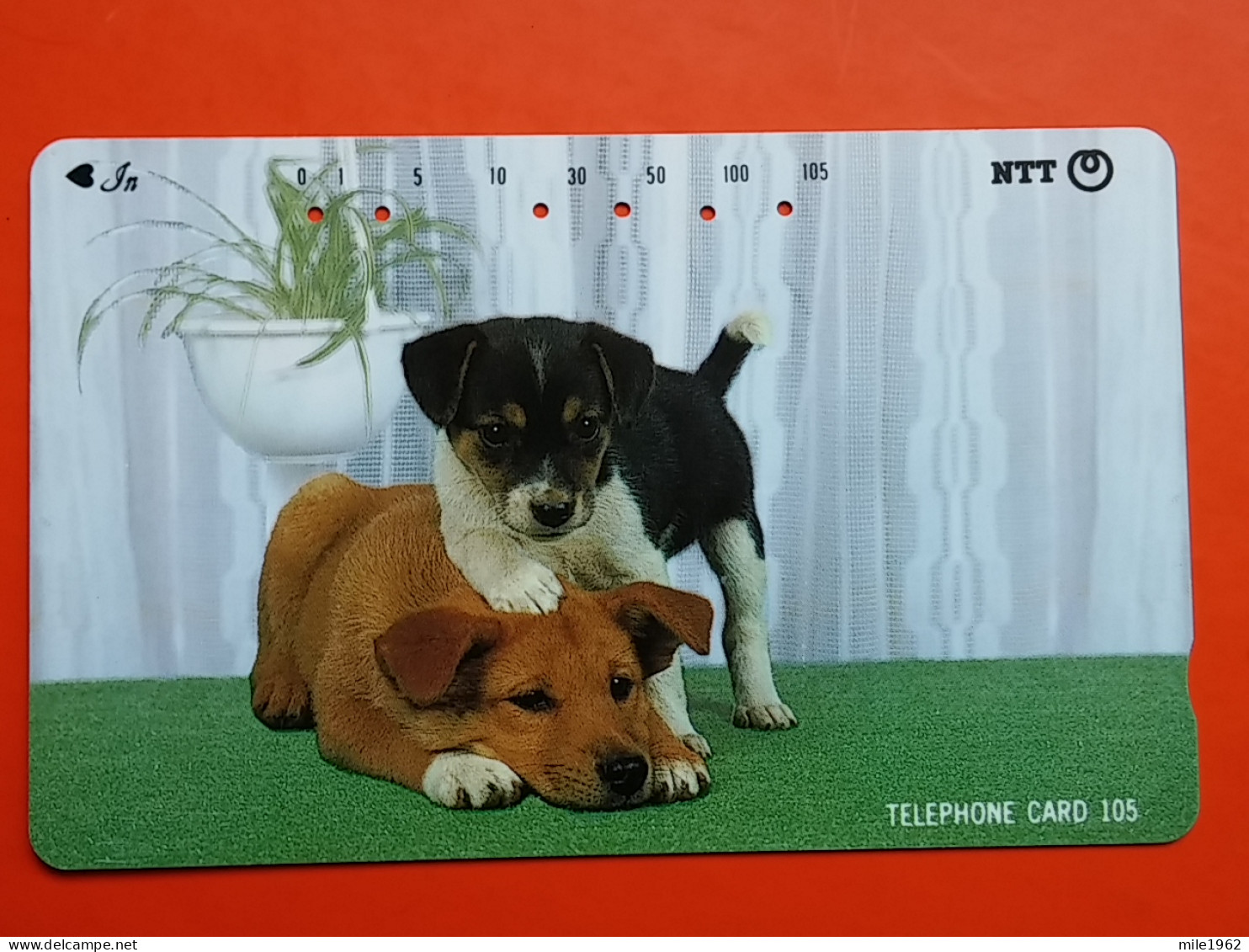 T-163 - JAPAN -JAPON, NIPON, TELECARD, PHONECARD, Animal, Dog, Chien, Hund NTT JP 111-041 - Japon