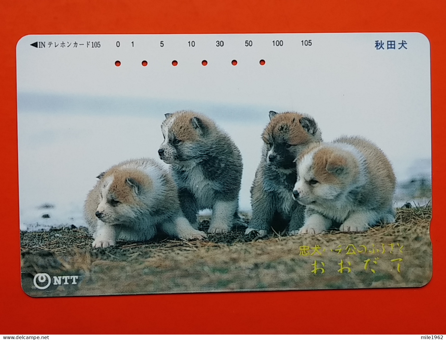 T-163 - JAPAN -JAPON, NIPON, TELECARD, PHONECARD, Animal, Dog, Chien, Hund NTT JP 111-259 - Japon