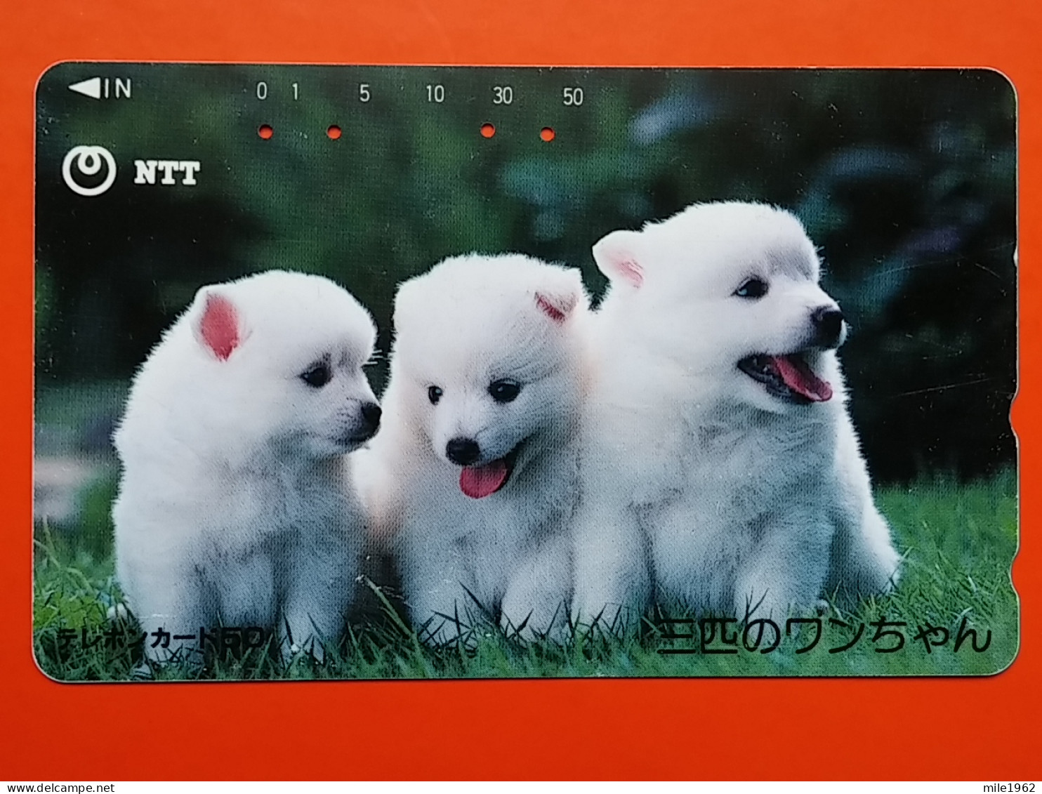 T-164 - JAPAN -JAPON, NIPON, TELECARD, PHONECARD, Animal, Dog, Chien, Hund NTT JP 390-343 - Japon
