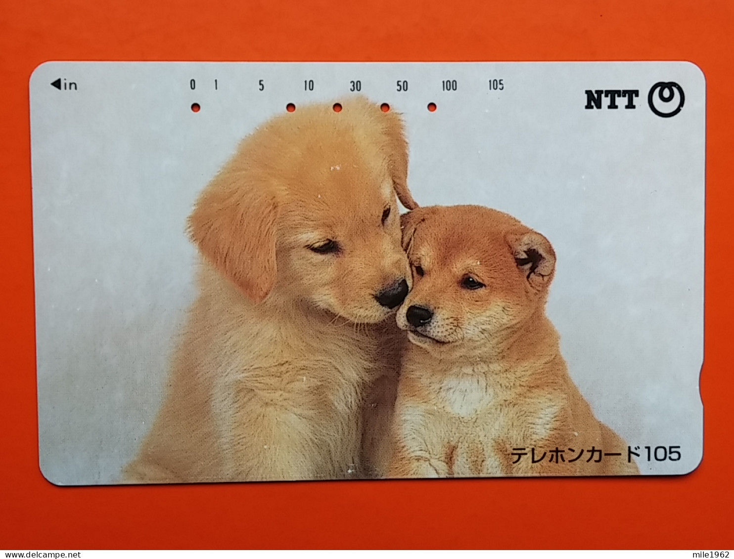 T-164 - JAPAN -JAPON, NIPON, TELECARD, PHONECARD, Animal, Dog, Chien, Hund NTT JP 111-086 - Japon