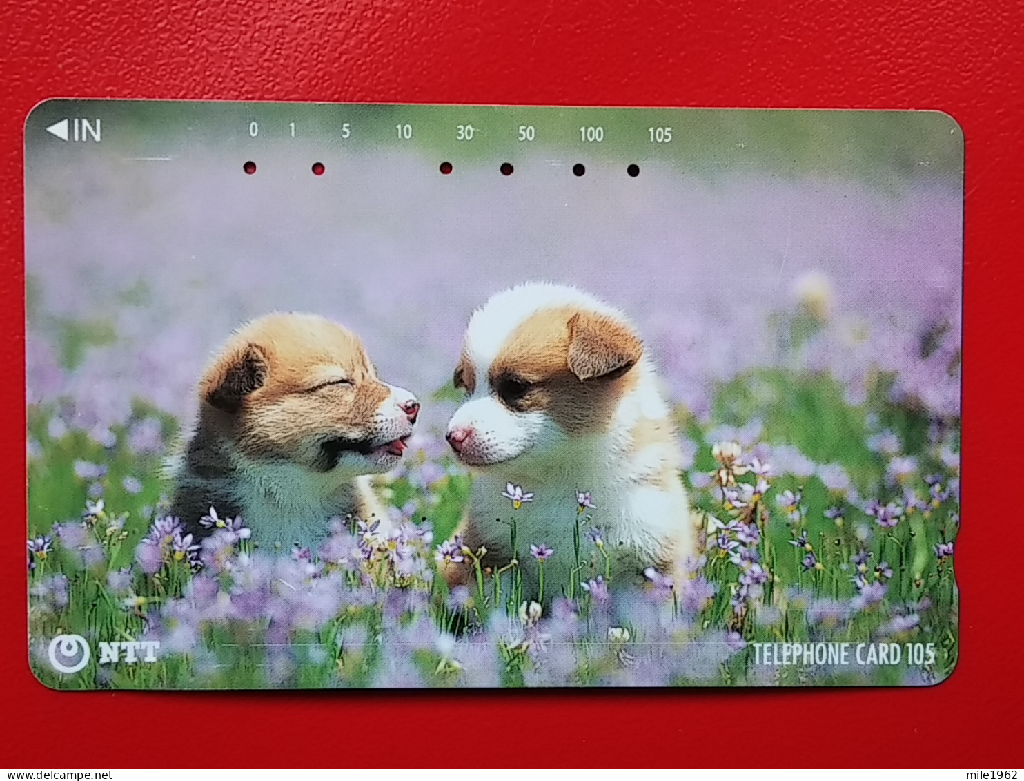 T-164 - JAPAN -JAPON, NIPON, TELECARD, PHONECARD, Animal, Dog, Chien, Hund NTT JP 111-059 - Japon