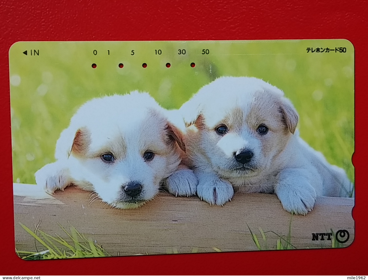 T-164 - JAPAN -JAPON, NIPON, TELECARD, PHONECARD, Animal, Dog, Chien, Hund NTT JP 231-184 - Japon