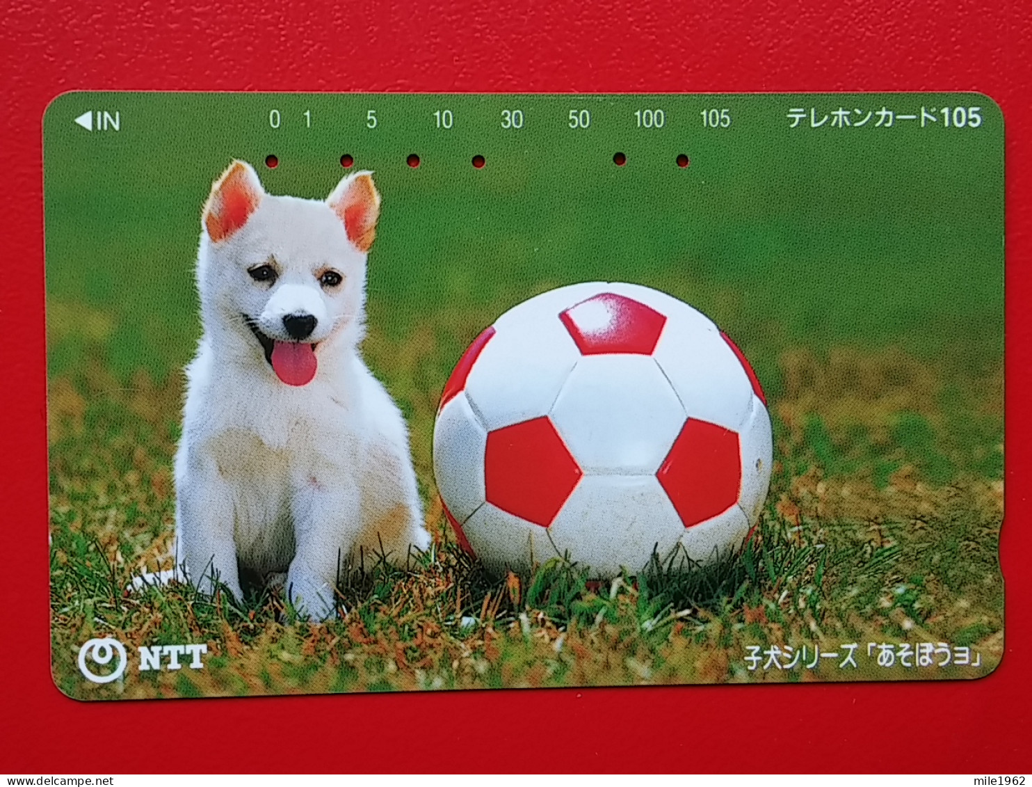 T-164 - JAPAN -JAPON, NIPON, TELECARD, PHONECARD, Animal, Dog, Chien, Hund NTT JP 111-032 - Japon