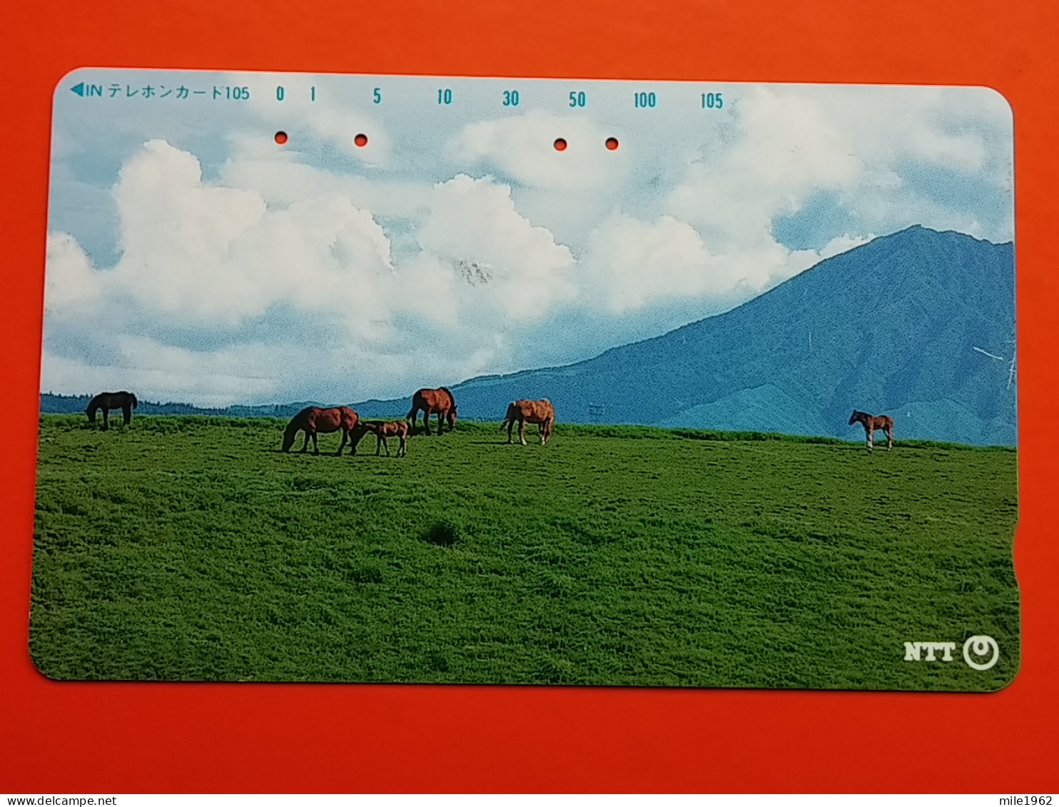 T-165 - JAPAN -JAPON, NIPON, TELECARD, PHONECARD, Animal,  NTT JP 391-243, Horse, Cheval - Japon