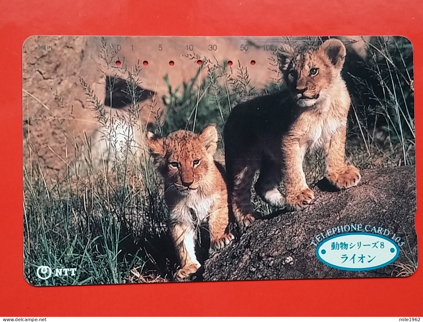 T-166 - JAPAN -JAPON, NIPON, TELECARD, PHONECARD, Animal,  NTT JP 231-157 Lion - Japon