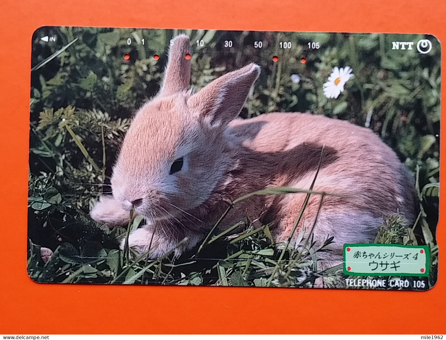 T-166 - JAPAN -JAPON, NIPON, TELECARD, PHONECARD, Animal,  NTT JP 231-143 Rabbit, Lapin - Japon