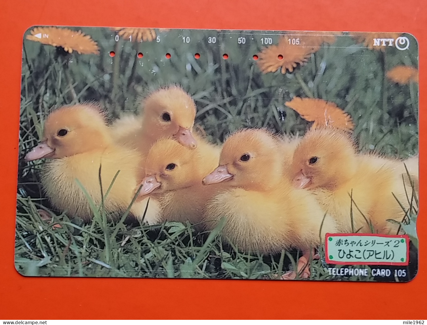 T-166 - JAPAN -JAPON, NIPON, TELECARD, PHONECARD, Animal,  NTT JP 231-141 Duck - Japon