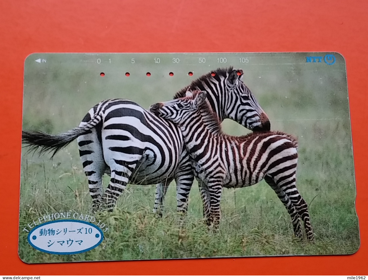 T-166 - JAPAN -JAPON, NIPON, TELECARD, PHONECARD, Animal,  NTT JP 231-159 Zebra - Japon