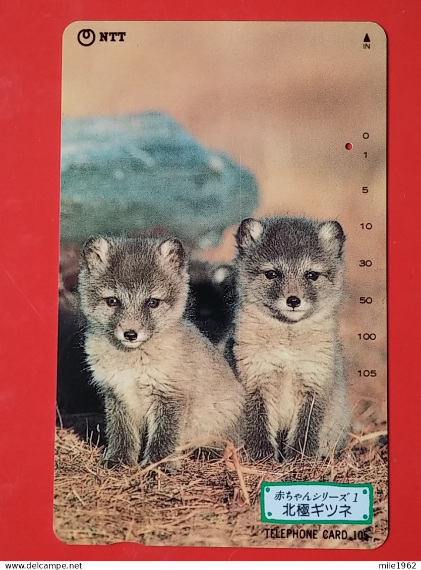 T-166 - JAPAN -JAPON, NIPON, TELECARD, PHONECARD, Animal,  NTT JP 231-140 Fox Renard - Japon