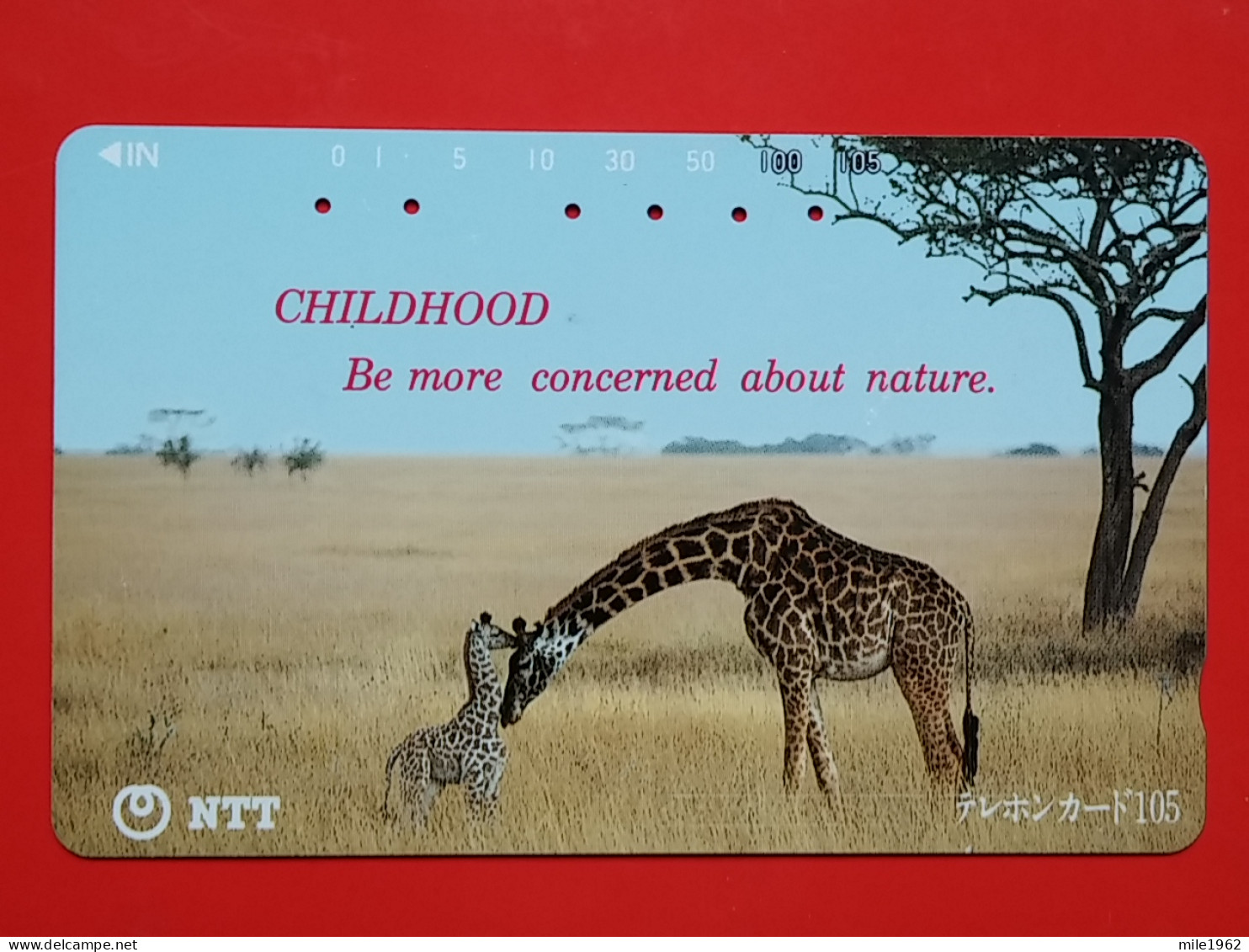 T-166 - JAPAN -JAPON, NIPON, TELECARD, PHONECARD, Animal,  NTT JP 231-088 Girafe - Japon