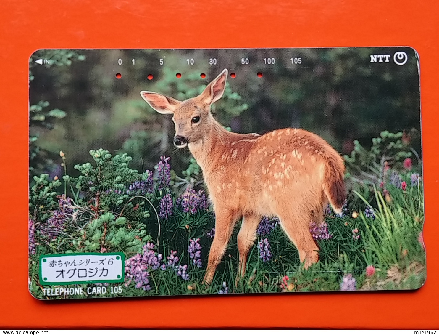 T-166 - JAPAN -JAPON, NIPON, TELECARD, PHONECARD, Animal,  NTT JP 231145 Roe Deer - Japon