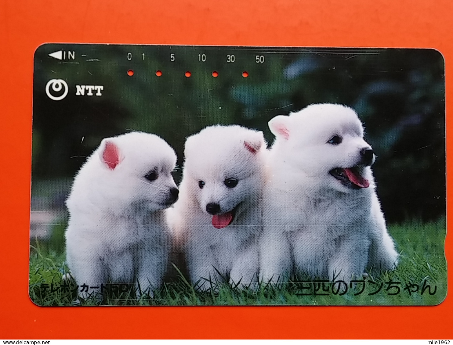 T-169 - JAPAN -JAPON, NIPON, TELECARD, PHONECARD, NTT JP 390-343 - Autres & Non Classés