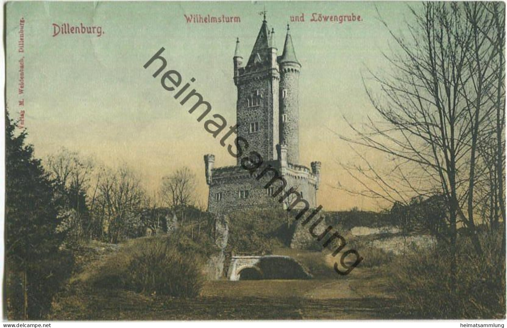 Dillenburg - Wilhelmsturm - Löwengrube - Verlag M. Weidenbach Dillenburg Gel. 1905 - Dillenburg