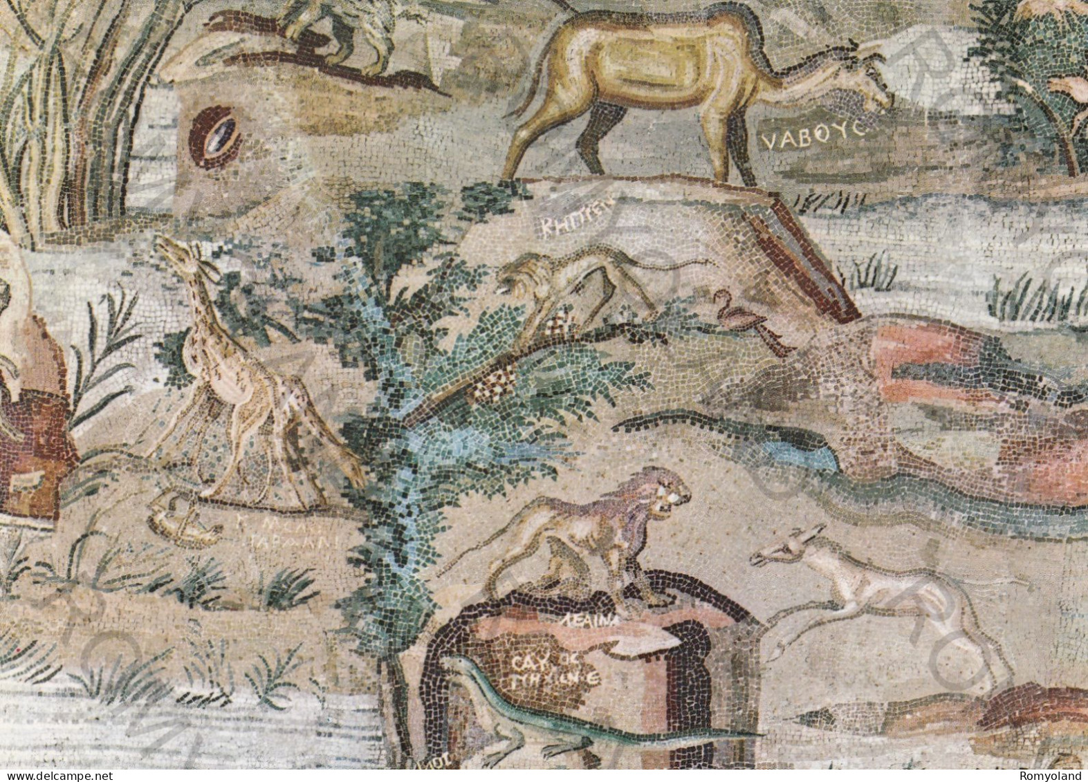 CARTOLINA  PALESTRINA,ROMA,LAZIO-SCENA CON ANIMALI-MOSAICO DEL NILO (MUSEO NAZIONALE PRENESTINO)-NON VIAGGIATA - Musées